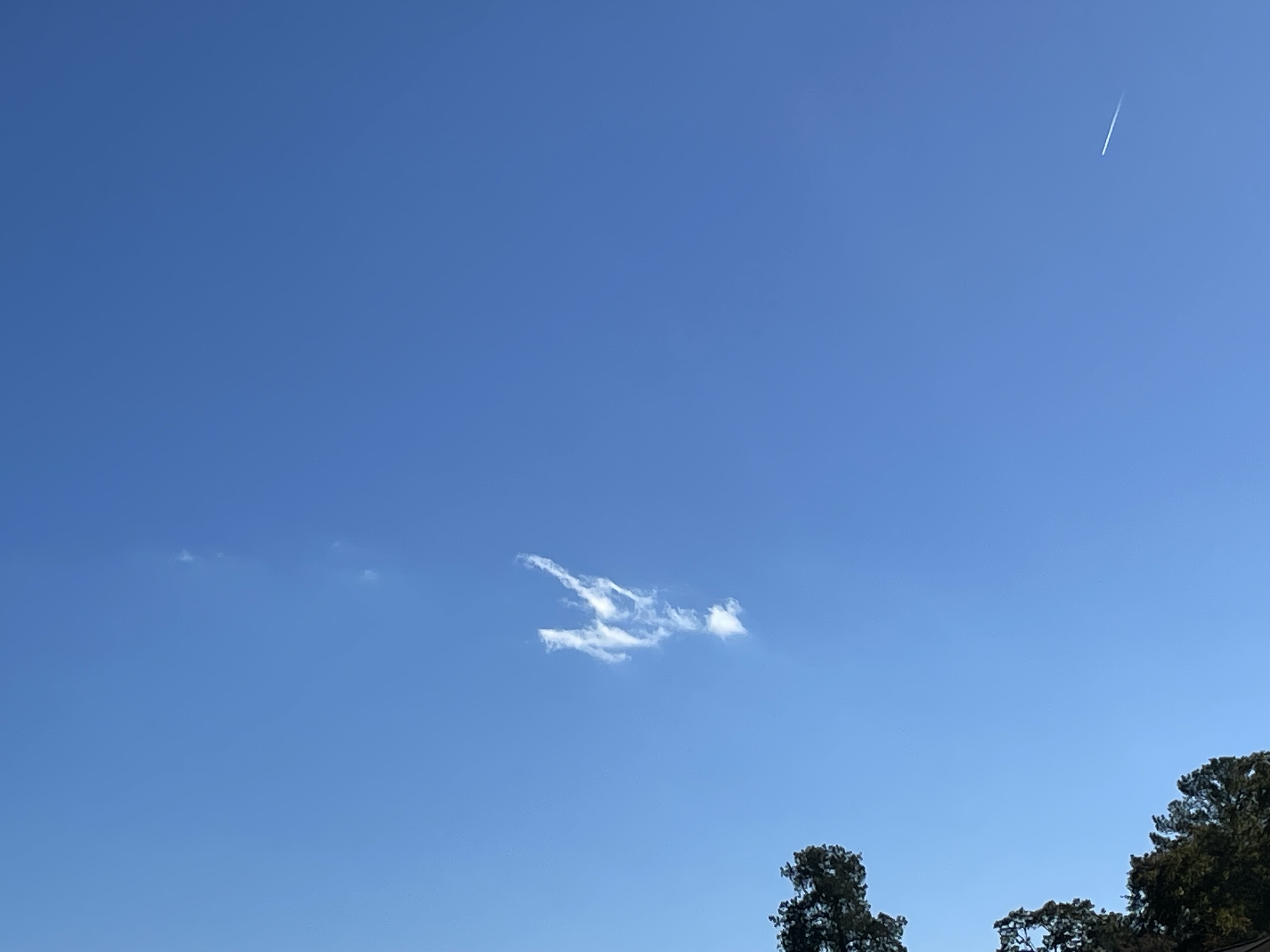 Delicate Wisps in Equilibrium: How Lonely, Stray Cumulus Clouds Appear in Blue Sky (Weather Explained #1)
